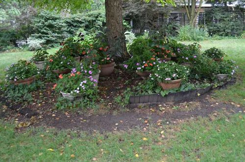 Property photo 78 - Historic Beechwood Circle Mansion
